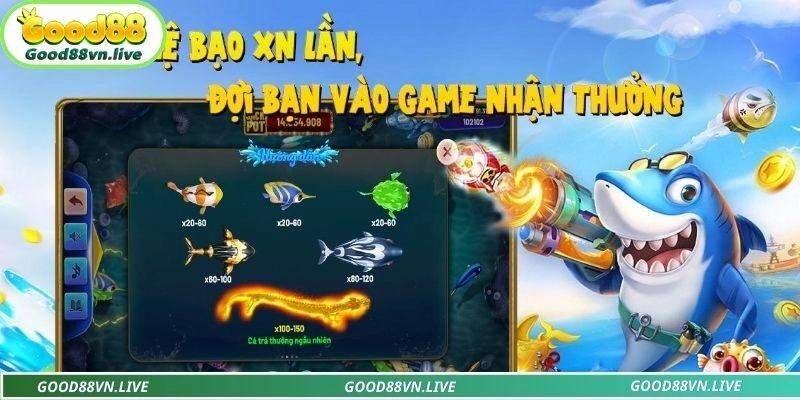 Bí quyết săn ngư đổi thưởng đỉnh cao từ cao thủ lâu năm