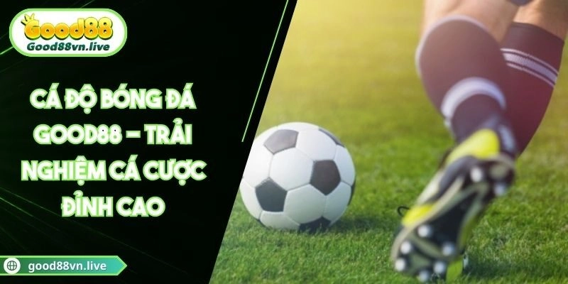 Cá Độ Bóng Đá Good88 – Trải Nghiệm Cá Cược Đỉnh Cao 