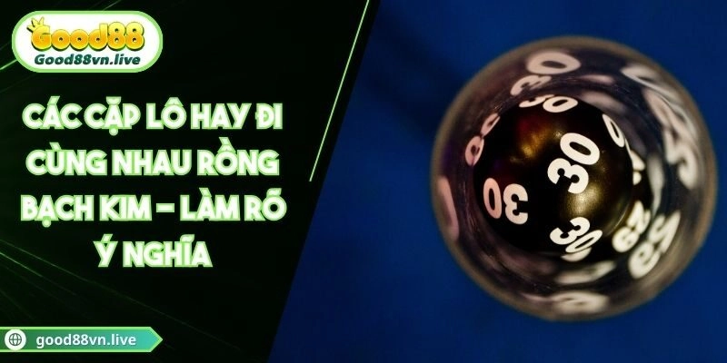 Các Cặp Lô Hay Đi Cùng Nhau Rồng Bạch Kim - Làm Rõ Ý Nghĩa