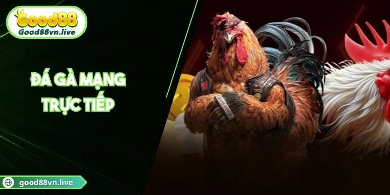 Đá Gà Mạng Trực Tiếp Good88 Cập Nhật Kèo Chuẩn Từng Giây