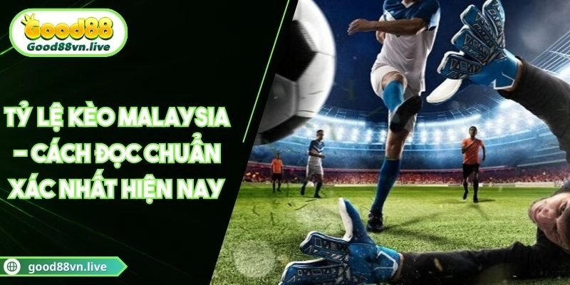 Tỷ Lệ Kèo Malaysia – Cách Đọc Chuẩn Xác Nhất Hiện Nay