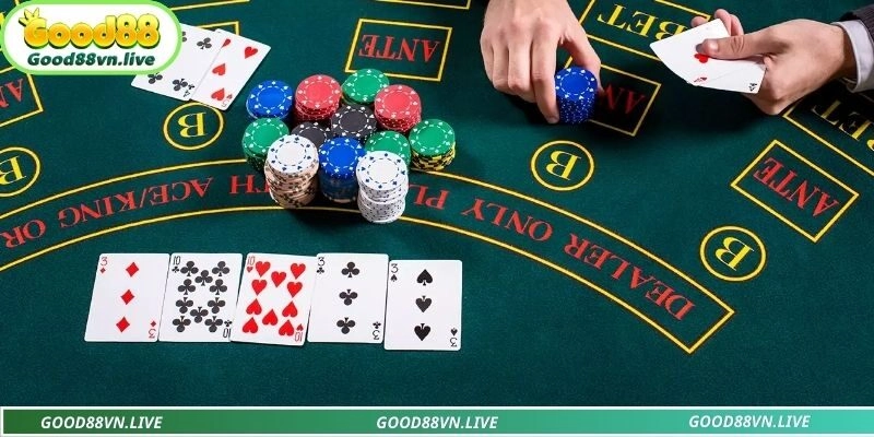 Vòng đấu có trong một ván bài chuyên nghiệp